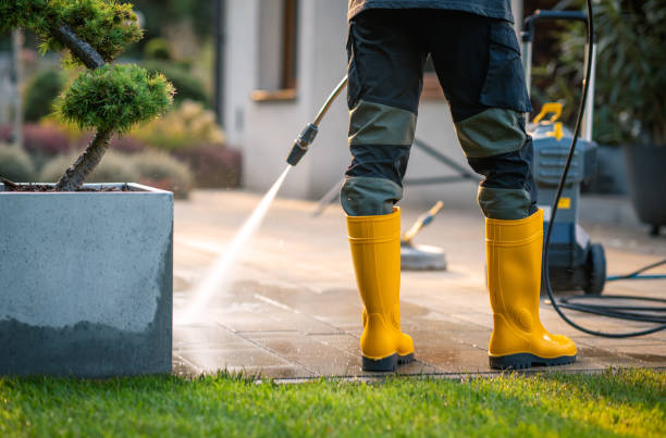 Best Pressure Washing Company Near Me  in Springfield, OR